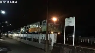 Moment! Argo Bromo Anggrek full Livery lebaran...