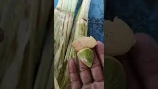 Beginning of summer heat, Kerala, India