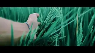 Cinematic Backsound No Copyright