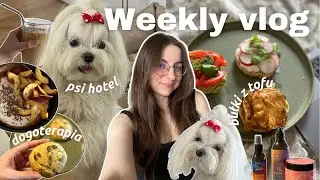 WEEKLY VLOG 🐶 psi hotel, zakupy, praca w agencji, wege catering, puszące się włosy 🌱