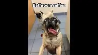 Cool Whatsapp Status : Cool Whatsapp Statuses : Coolest Whatsapp Status