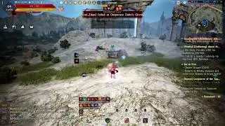 [Black Desert] Succession Maehwa - T3 Node War