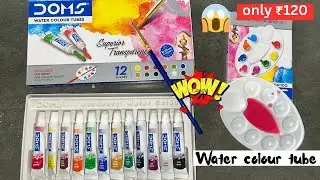DOMS Water Colour Tubes Review & Test Hindi | 12 Shades | Paper Colours |Brush & Colour Palette DIY