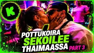 Pottukoira sekoilee thaimaassa PT3