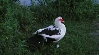 20180608 212011