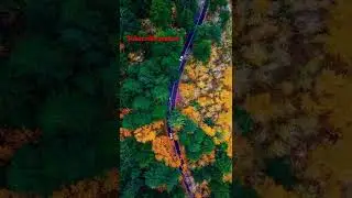 nature  lovers 😘🤗 #short #shortsvideo #shortvideo #nature #sad #s #shortsbeta