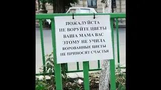 Воровитые соседи(( - это Крыса в амбаре!! Кто же знал , что и  такое случается?!