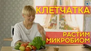 Ешь клетчатку - корми бактерии! Выращиваем собственный микробиом!