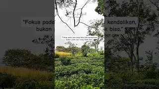 Fokus #shortvideo #shorts #short #motivasi #katakatabijak #quotes #motivasidiri #sukses #trending