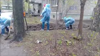 Копаем   корни, бардюры, но всё хорошо