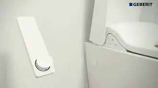 Сиденье для унитаза с функцией биде Geberit