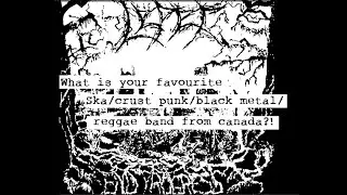 Leper – Wild and Free (Guitar Cover) [Black Metal, Skacore, Crust, Hardcore Punk]