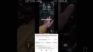 Никогда не смотри губку Боба ночью
