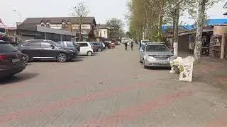 24.04.2024 . Архипо- Осиповка 
 ветренно . очень