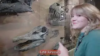 Museum Moments Episode 3: Paleontology!