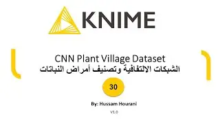 30 CNN Plant Village Dataset الشبكات الالتفافية وتصنيف أمراض النباتات