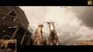 RDR 2 RedM rp: hallo gonzo!