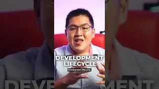 Who Is Responsible For The Versions Of Websites Or Applications?