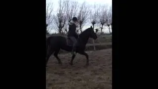 Lisette op Born to be wild (draf)