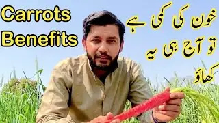 How healthy are carrots?|گاجر سے خون کی کمی دور کرو