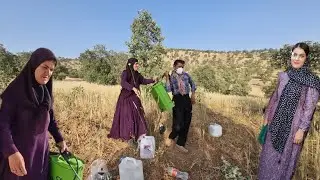 Nomadic life: A wonderful day with Zahra's family on the farm