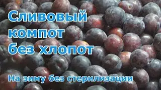 Компот из слив на зиму. Самый простой и вкусный рецепт без стерилизации