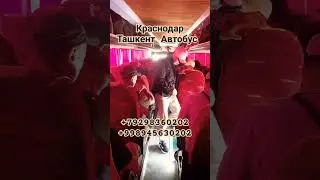 Краснодар Ташкент Автобус #тошкент #автобус #краснодар #ростов #анапа #тикток #automobile #ташкент