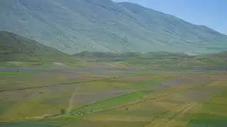 Castelluccio Fioritura 30 giugno 2022