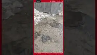 Зловонные реки на Белом Яру