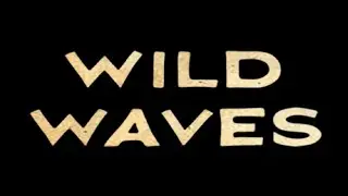 Mickey Mouse - Wild Waves Mashup (1929)