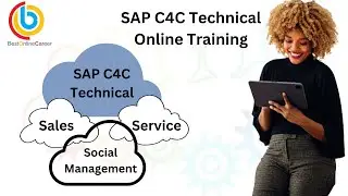 SAP C4C Technical | SAP C4C Technical Overview | SAP Cloud for Customer Technical