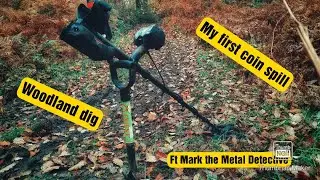 Coin spill found while metal detecting in the woods