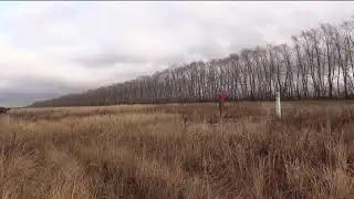 граница Казахстана и России (в сторону Кургана)