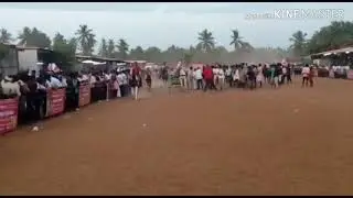 Horse Rallies