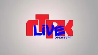 «Вести Оренбуржья». Выпуск от 14 ноября 2024 года