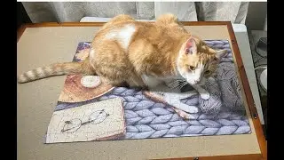 Jigsaw Puzzle Ginger Cat on a Chunky Blanket #jigsawpuzzle #timelapse #puzzle