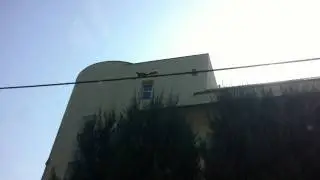 Tornász mókus :P