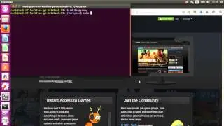 Установка steam в ubuntu 16.04