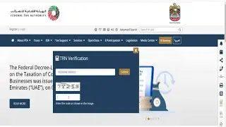 How to Verify TRN Number & Company Name Correctly in UAE #shorts #UAE