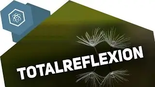 Reflection of light – Total internal reflection