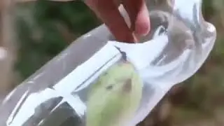 Идеи для дома и дачи