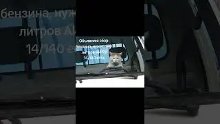 2200152369817559 альфа Буду благодарен каждому за поддержку ❤❤❤