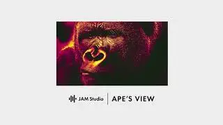 Ape’s View | Hip Hop & Rap Electronic | Music Maker JAM