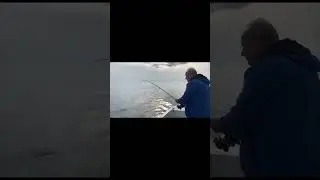 Мощнейшие потяжки морского кота. Дуплет. Рыбалка в Сочи. #fishing #fish #рыба #рыба #fishingvideo