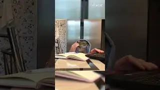 Busy Cat | Multitasking Feline Goes Viral! 😹