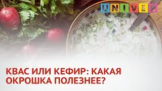 КВАС ИЛИ КЕФИР: КАКАЯ ОКРОШКА ПОЛЕЗНЕЕ?