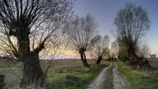 Pavel Gililov plays Mazurka op.24 no1 in G-minor