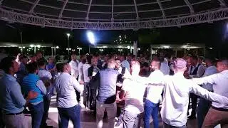 Sedef Müzik