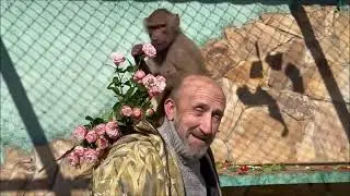 С  Днём Рождения , ПриматДонна Тайгана !