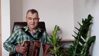 Vijolnieks-Скрипач